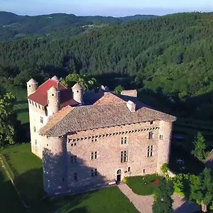 chateau-de-maisonseule.hotels-rhonealpes.com/